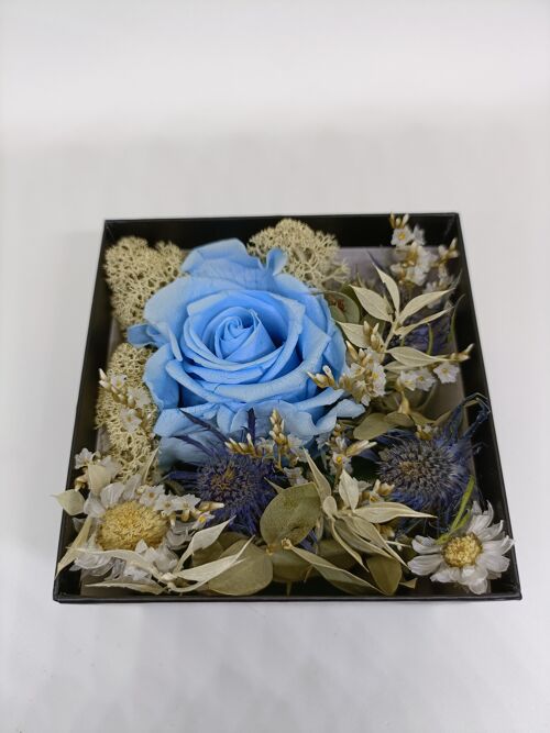 rose éternelle bleu dans boite à paillette argenté