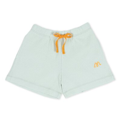 Titan shorts Green water