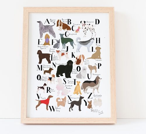 Dog Alphabet A3 Print