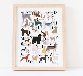 Alphabet de chien A3 impression