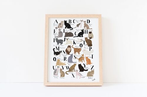 Cat Alphabet A3 Print