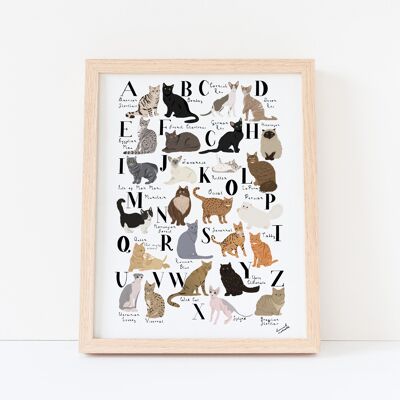 Impresión A3 del alfabeto del gato