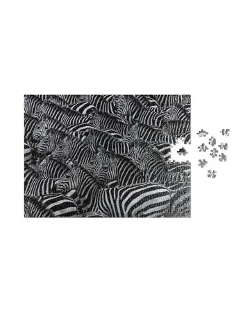 Puzzle Zebra - Pussel Ett 500 bits 3