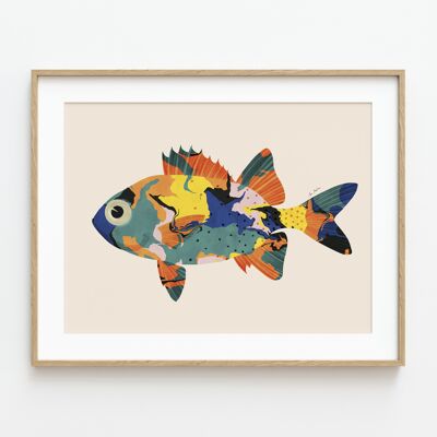 LÁMINA ARTÍSTICA "Peces de colores I"-Varios tamaños