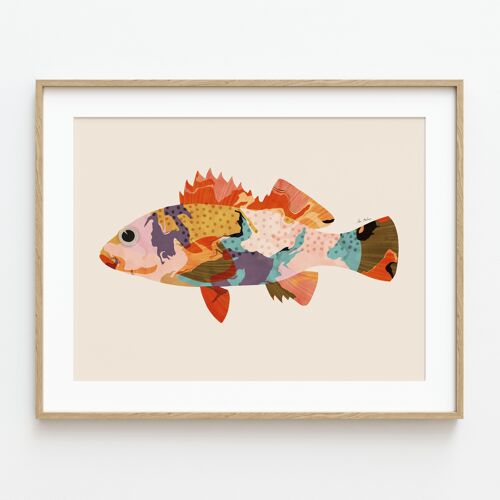 LÁMINA ARTÍSTICA "Peces de colores II"-21CM (H) X 30CM (W)