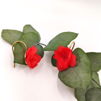Boucles d'oreilles en fleurs stabilisées Ruby