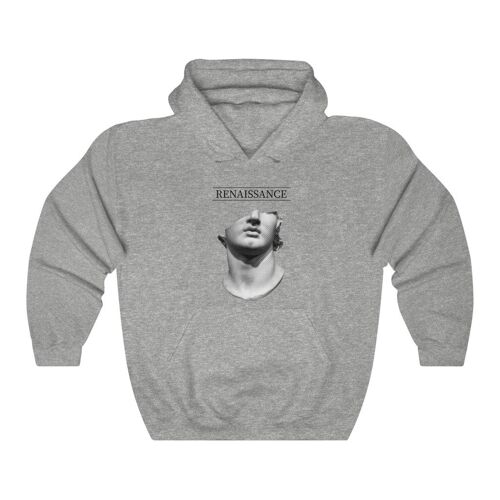 Renaissance Art Movement Hoodie Statue Backprint Sport Grey