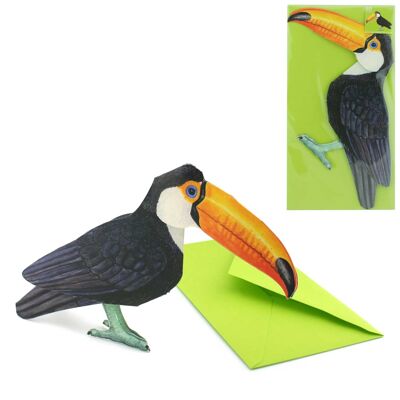 Carte des animaux 3D toucan