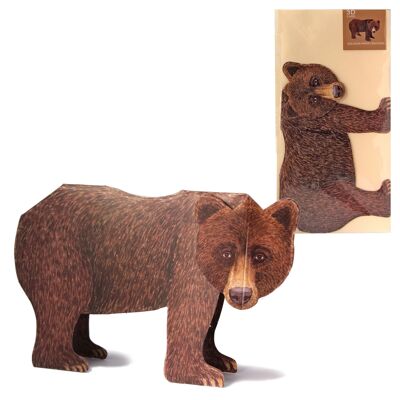3D animal map bear