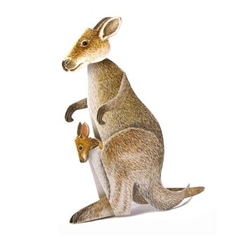 Carte des animaux en 3D kangourou 2