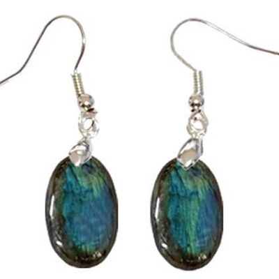 Boucles d'Oreilles Labradorite Ovale