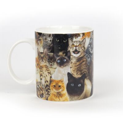 Crazy Cat Lady Mug