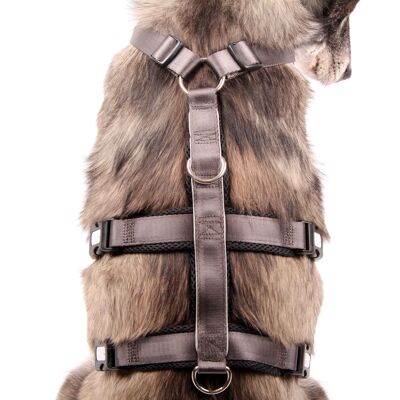 Imbracatura di sicurezza - Patch&Safe - Argento-Nero - XL - Cani di peso superiore a 35 kg/65 com