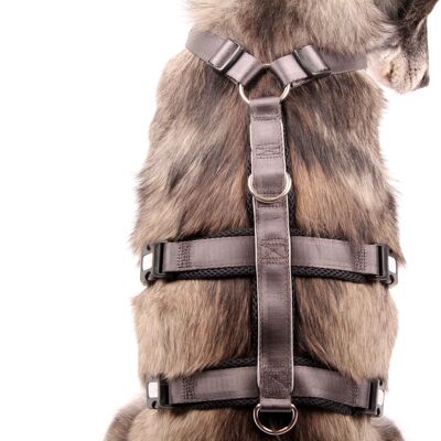 Safety Harness - Patch&Safe - Silver-Black - XL - Dogs over 35kg/65com