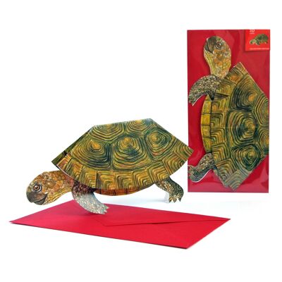 3D animal map turtle