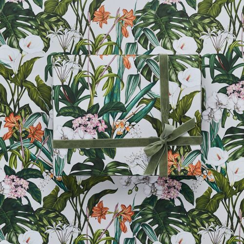 Palm House Tropics - Gift Wrap