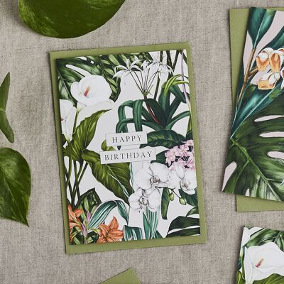 Tropici della casa delle palme - Buon compleanno