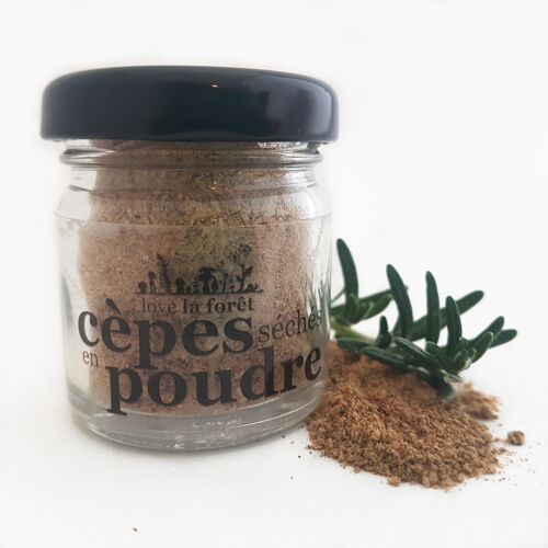 Mini cèpes en poudre 13g