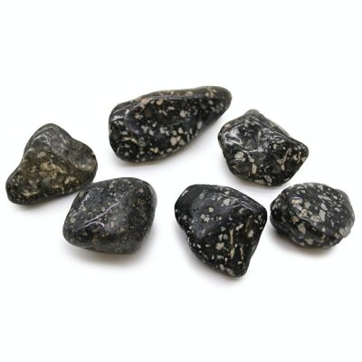 ATumbleL-04 - Grandes pierres de culbutage africaines - Pintade Large - Vendu en 6x unité/s par extérieur