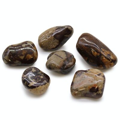 ATumbleL-06 - Large African Tumble Stones - Jasper Nguni - Sold in 6x unit/s per outer
