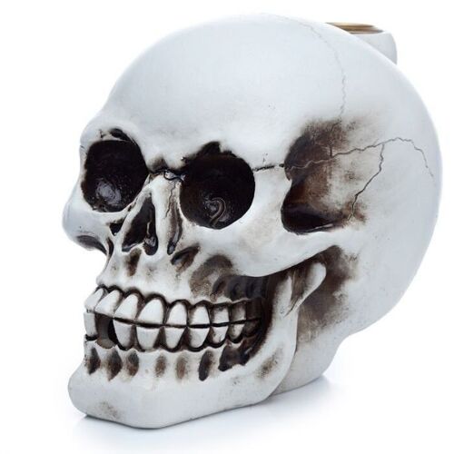 BackF-40 - Skull Backflow Incense Burner - Sold in 3x unit/s per outer