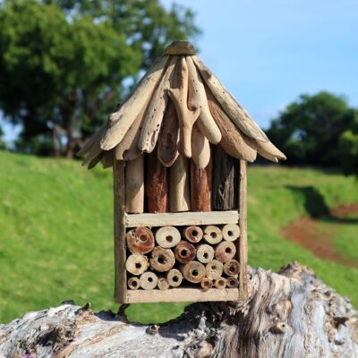 BBBox-08 - Boîte double en bois flotté pour abeilles et insectes - Vendue en 1x unité/s par extérieur