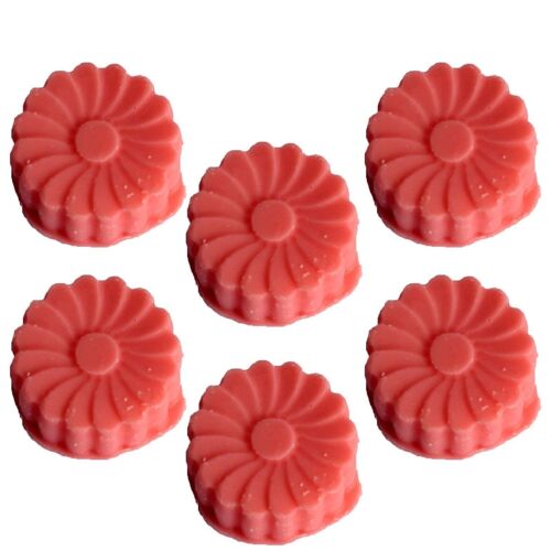 BNWmelt-13 - Natural Soy Wax Melts -Watermelon Fresh - Sold in 36x unit/s per outer