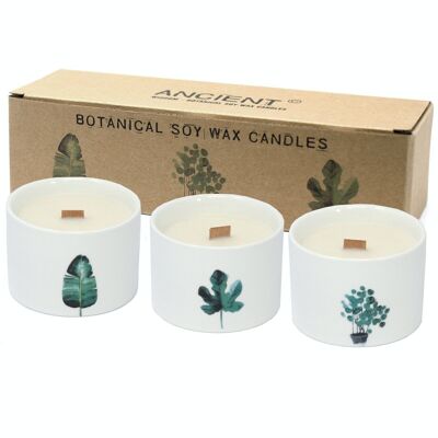 BotC-01 - Candele botaniche Med - Giardino giapponese - Venduto in unità 3x per esterno