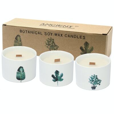 BotC-03 - Med Botanical Candles - Lemon Honeysuckle - Sold in 3x unit/s per outer