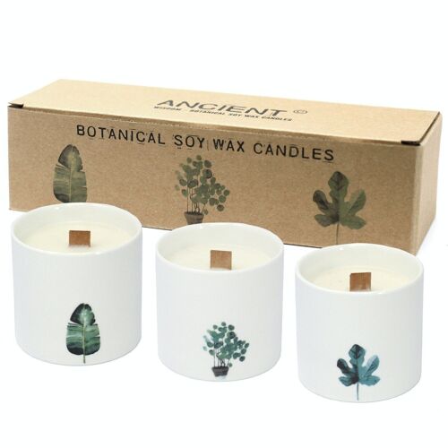 BotC-05 - Large Botanical Candles - Wild Jasmine - Sold in 3x unit/s per outer
