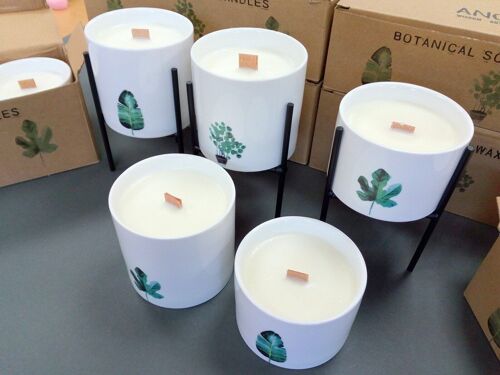 BOTC-ST - Botanical Candles - Starter - Sold in 1x unit/s per outer