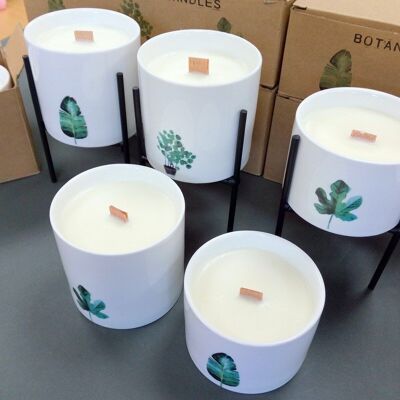 BOTC-ST - Botanische Kerzen - Starter - Verkauft in 1x Einheit/en pro Außenhülle