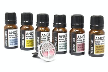 CarEO-02 - Mélange de voiture d'aromathérapie 10 ml - Voyage en famille - Vendu en 1x unité/s par extérieur 3