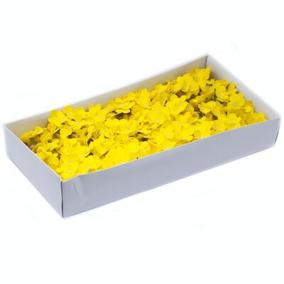 CSFH-41 - Handwerkliche Seifenblumen - Hyazinthenbohne - Gelb - Verkauft in 36x Einheit/en pro Außenhülle