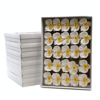 CSFH-73 - Fleur de Savon Artisanal - Orchidée - Blanc - Vendu en 25x unité/s par extérieur 6