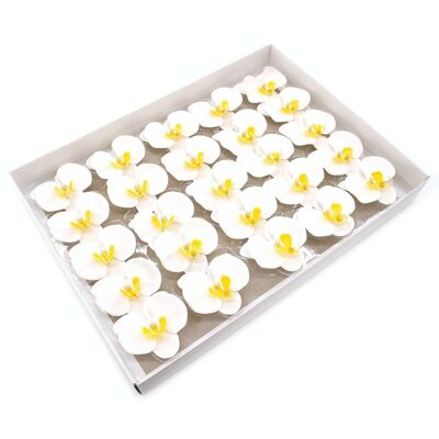 CSFH-73 - Craft Soap Flower - Orchid - White - Sold in 25x unit/s per outer