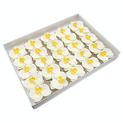 CSFH-75 - Craft Soap Flower - Orchid - Cream - Sold in 25x unit/s per outer