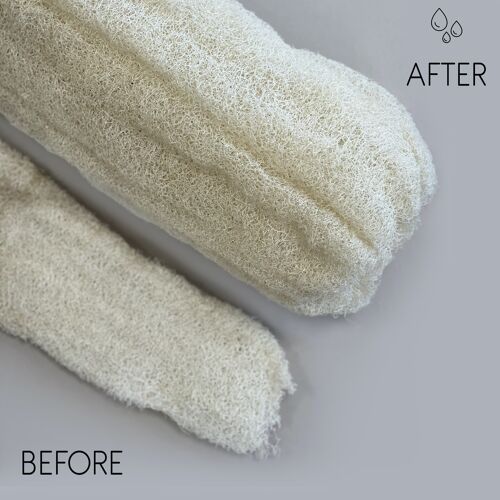 ELLoofah-01 - Egyptian Luxury Whole Loofah - Compressed - 60cm+ - Sold in 10x unit/s per outer