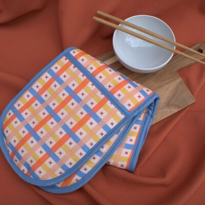 Double Oven Glove in Gingham Vimala print