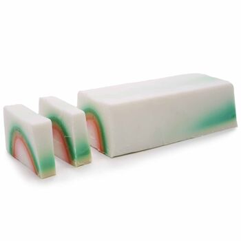 FSL-04 - Funky Soap Loaf - Arc-en-ciel - Vendu en 1x unité/s par extérieur 4