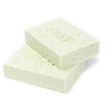 GMSoap-05 - Savon Greenman 100g - Antiseptique Spot Attack - Vendu en 12x unité/s par extérieur 6