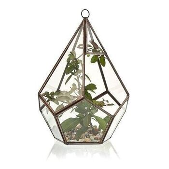 GTer-02 - Terrarium en verre - Grand Pentagone - Vendu en 1x unité/s par extérieur 5