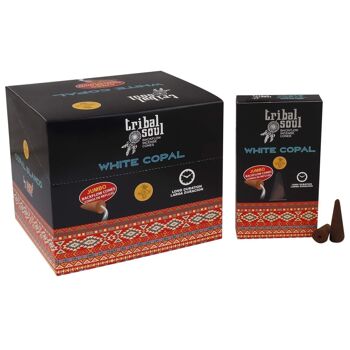 IncenST-01 - Tribal Soul Incense Starter Pack - Greywash Display - Vendu en 1x unité/s par extérieur 5