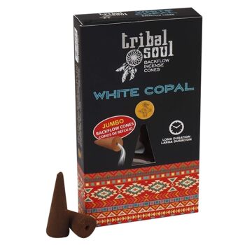 IncenST-01 - Tribal Soul Incense Starter Pack - Greywash Display - Vendu en 1x unité/s par extérieur 6