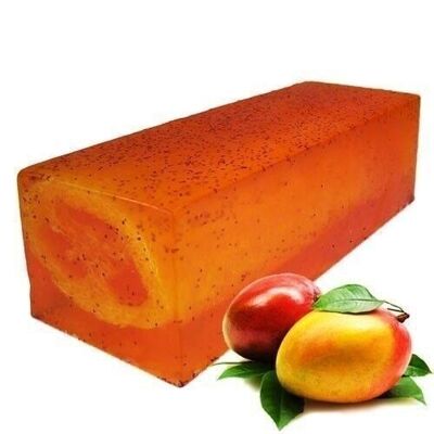 LSoap-04 - Loofah Soap - Mighty Mango Massage - Venduto in 1x unità/i per esterno