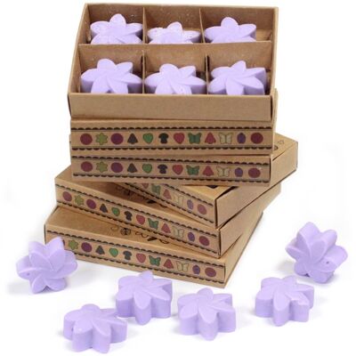 LWMelt-01 - Packs Wax Melts - Lavender Fields - Verkauft in 5x Einheit/s pro Außenhülle