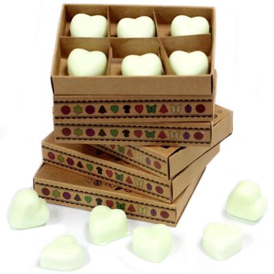 LWMelt-03 - packs Wax Melts - Apple Spice - Sold in 5x unit/s per outer