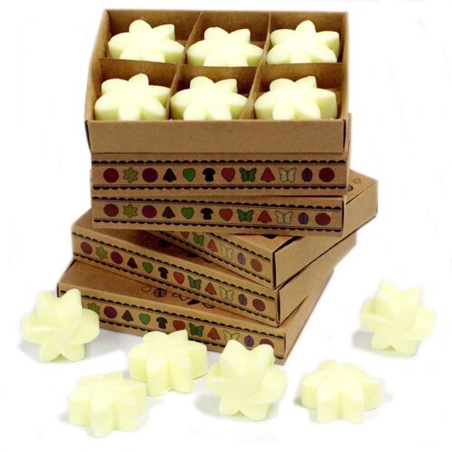 LWMelt-11 - packs Wax Melts - Lemon Harvest - Sold in 5x unit/s per outer