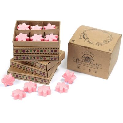 LWMelt-15 - packs Wax Melts - Classic Rose - Sold in 5x unit/s per outer