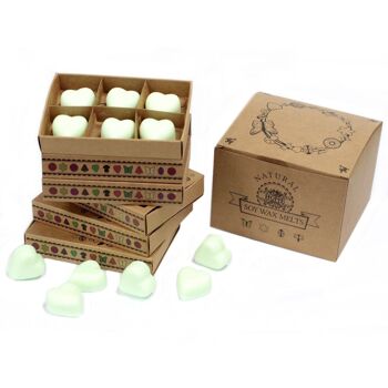 LWMelt-17 - packs Wax Melts - Menthe & Menthol - Vendu en 5x unité/s par extérieur 4